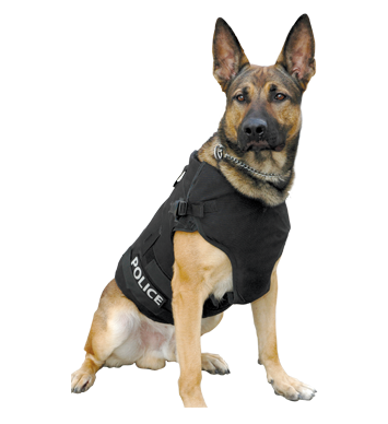 K-9 Vest