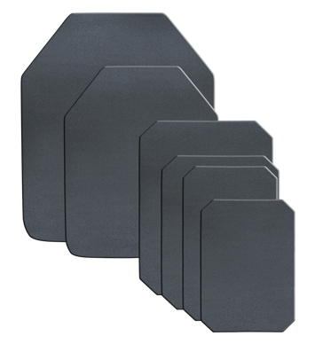Speed Plates Plus